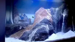 Curved Glass Full Set Fish Tank with Stand
