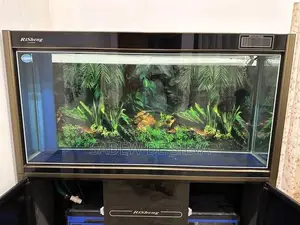 Fish Tank