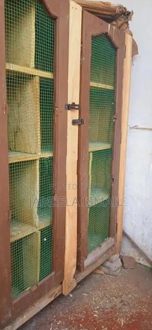 Pigeon Cage