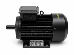 Genius Brothers 4KW Woodworking Motor (3 Phase)