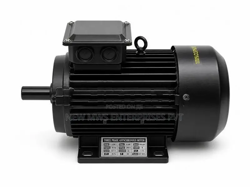 Genius Brothers 4KW Woodworking Motor (3 Phase)