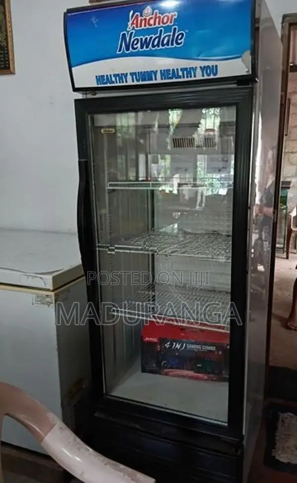 Fridge
