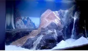 Curved Glass Full Set Fish Tank with Stand