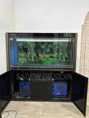 Fish Tank