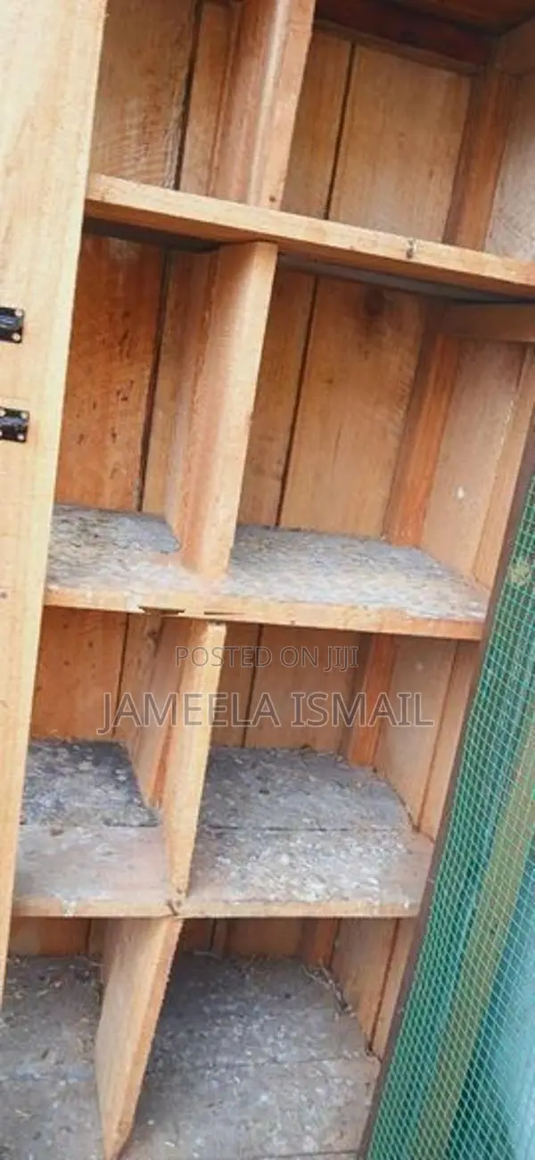 Pigeon Cage