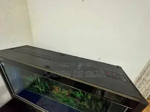 Fish Tank