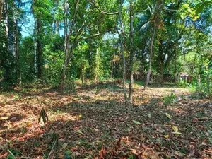 Land for Sale in Udugampola