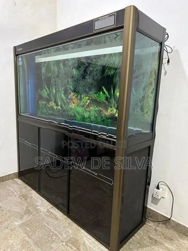 Fish Tank