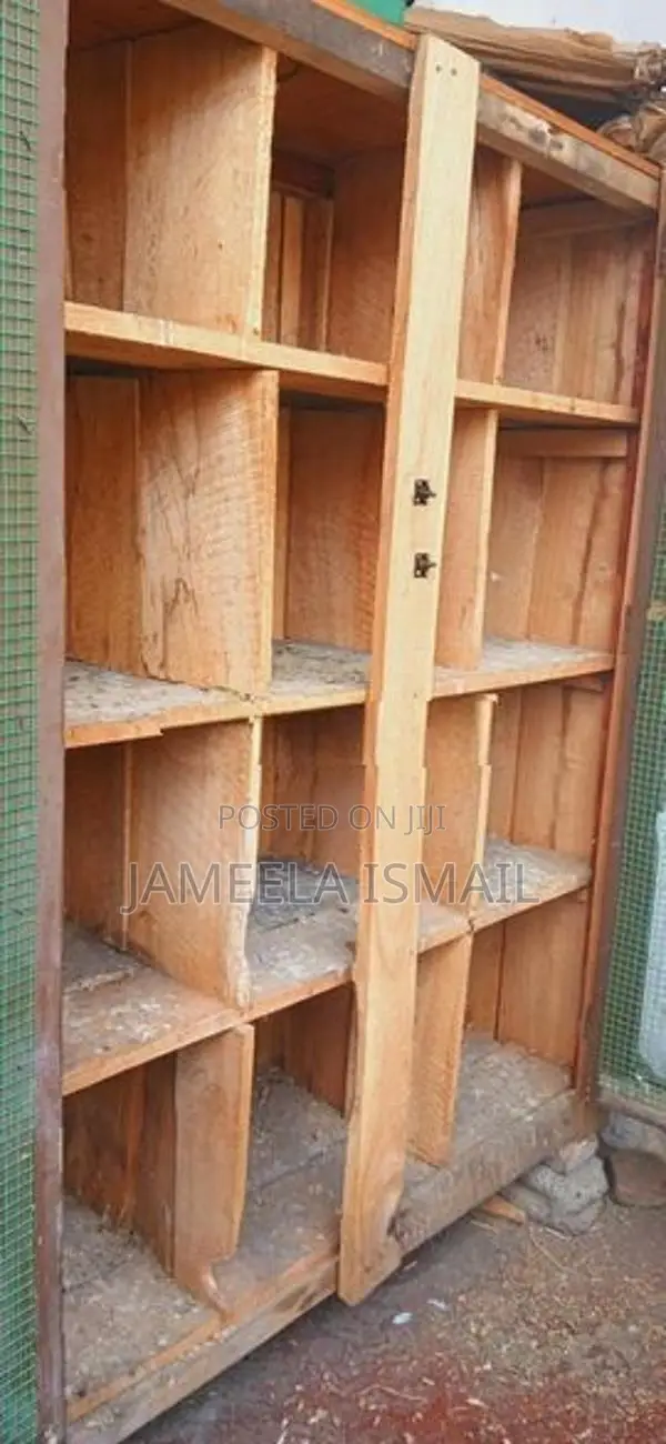 Pigeon Cage