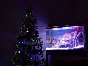 Curved Glass Full Set Fish Tank with Stand