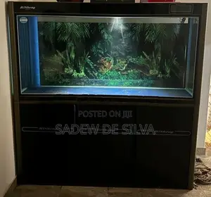 Fish Tank