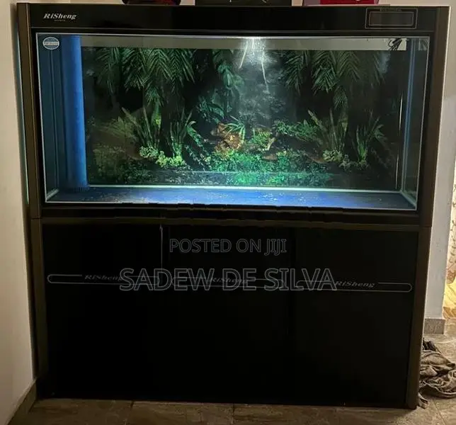 Fish Tank