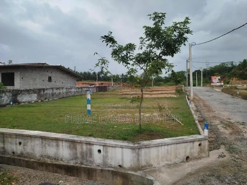 ආටිගල බටවල පාරෙන් බිම් කොටස් විකිණීමට