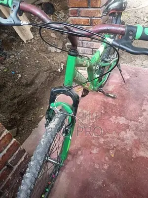 Mountain Bicycle