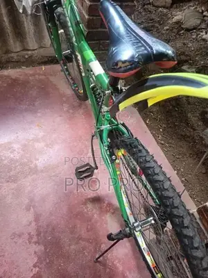 Mountain Bicycle