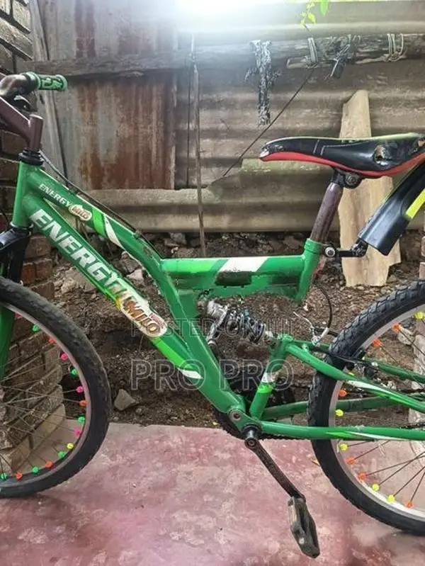 Mountain Bicycle
