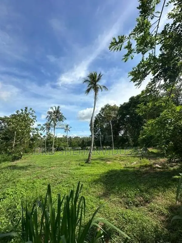 Land for Sale Kurunegala
