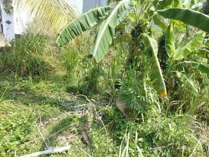 Super Land for Sale Boralesgamuwa