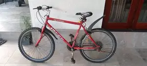Kenton Bicycle