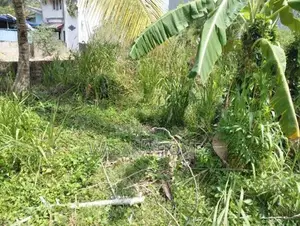 Super Land for Sale Boralesgamuwa
