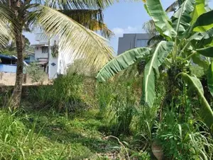 Super Land for Sale Boralesgamuwa