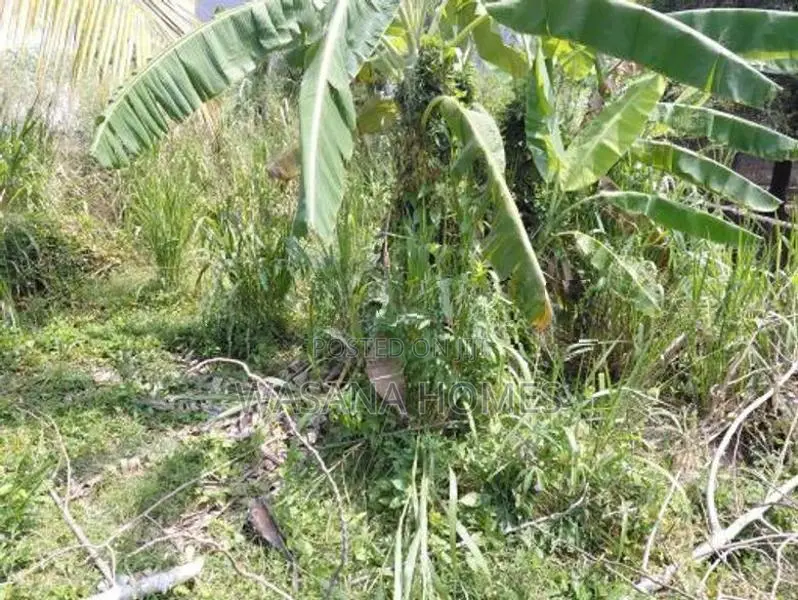 Super Land for Sale Boralesgamuwa