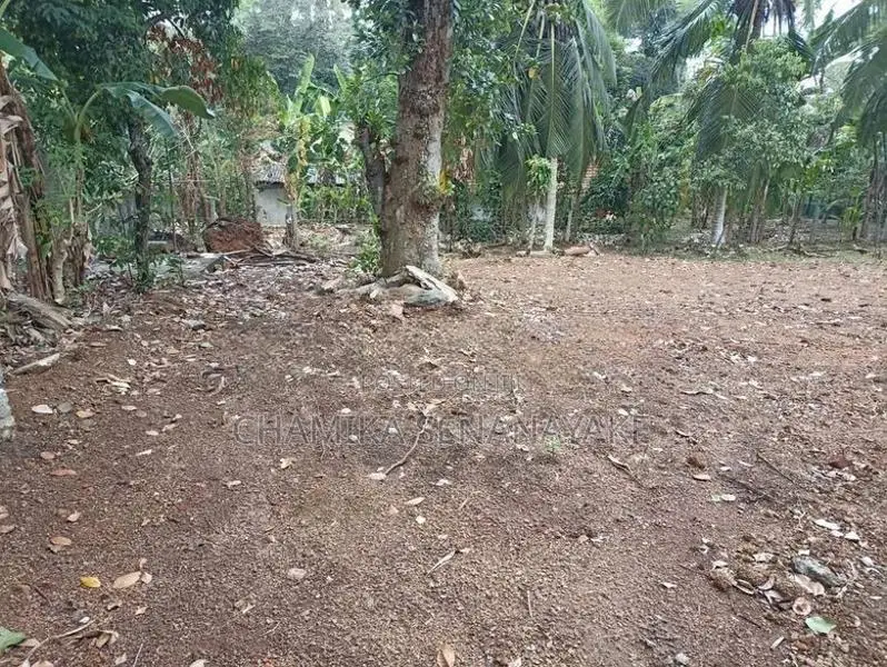 Prime Land for Sale – Mangala Mawatha, Kadawatha