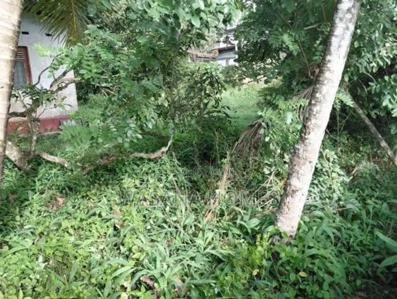 Best Land for Sale Pannipitiya