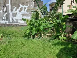 Super Land for Sale Boralesgamuwa