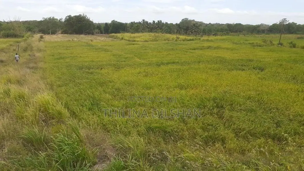 Thelulla Land for Sale