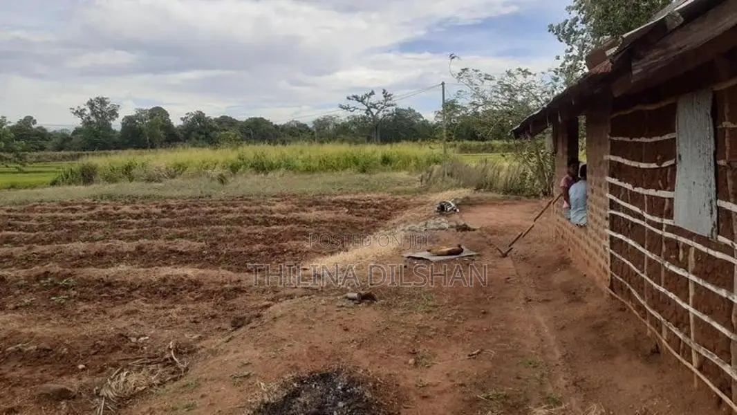 Thelulla Land for Sale