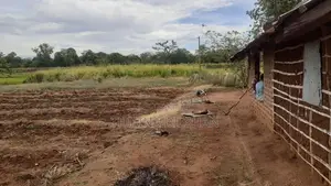 Thelulla Land for Sale