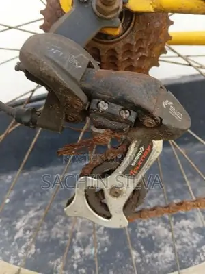 Imported Australian Bicycle