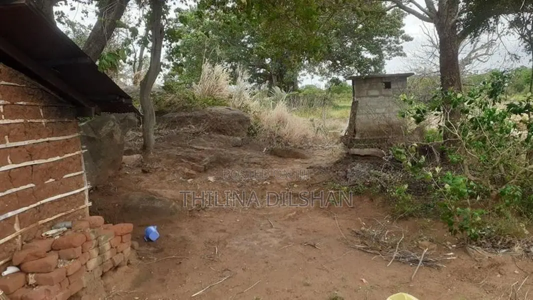 Thelulla Land for Sale