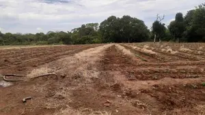 Thelulla Land for Sale