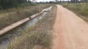 Thelulla Land for Sale