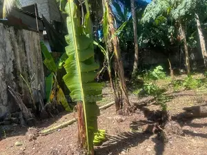 Land for Sale Pilliyandala