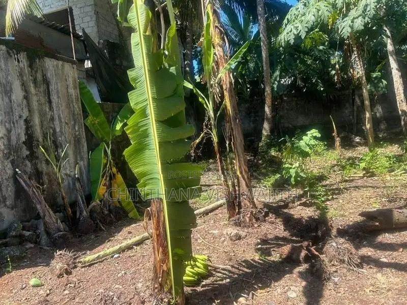 Land for Sale Pilliyandala