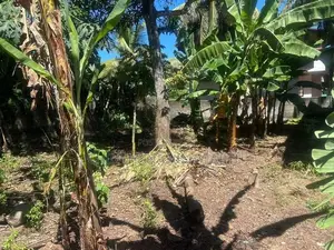 Land for Sale Pilliyandala