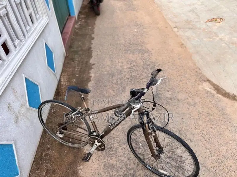 Bicycle