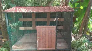 Paravi Kudu
