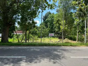 45 Perches Land For Sale in Ambanpola (SSPL-380)