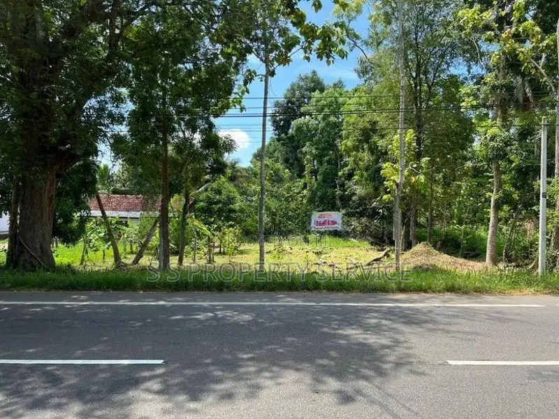 45 Perches Land For Sale in Ambanpola (SSPL-380)