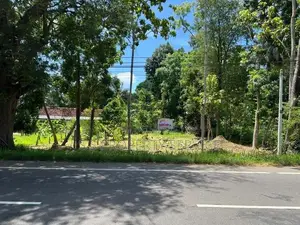 45 Perches Land For Sale in Ambanpola (SSPL-380)