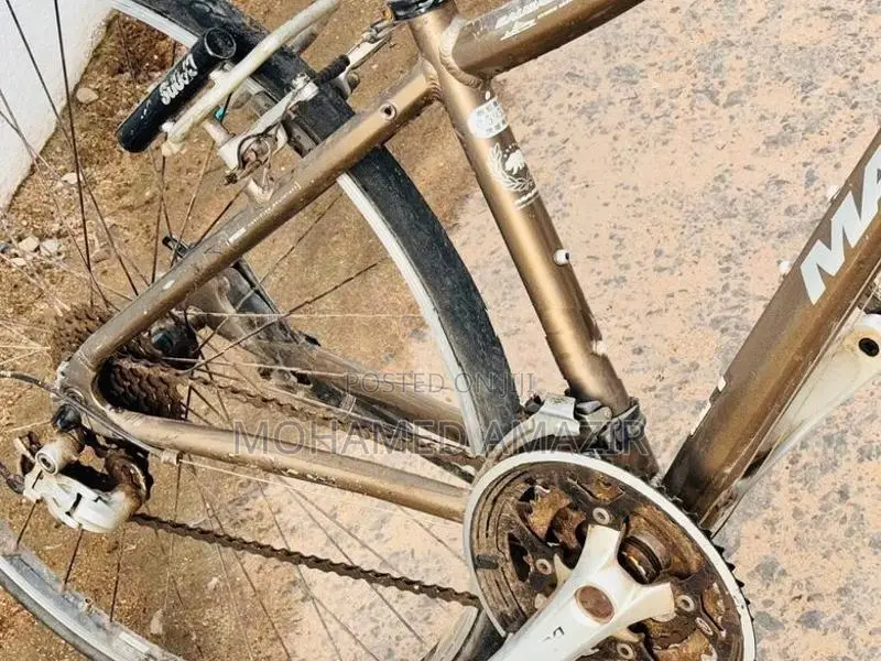 Bicycle