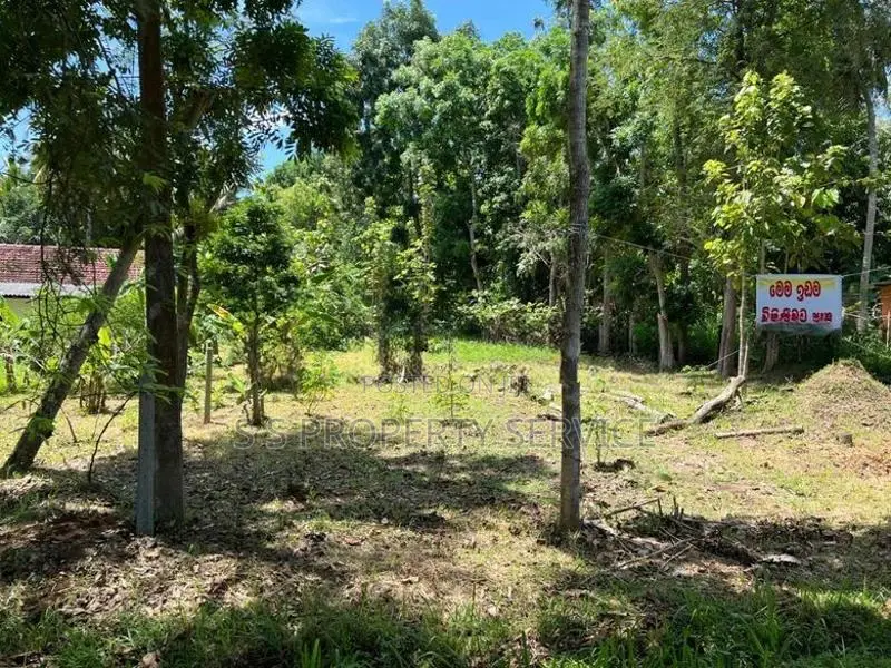 45 Perches Land For Sale in Ambanpola (SSPL-380)
