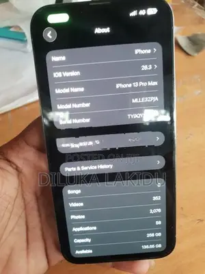 Apple iPhone 13 Pro Max 256GB (Used)