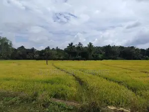 Land with an old house for sale in Tangalle - Beliatta (SSPL-381)