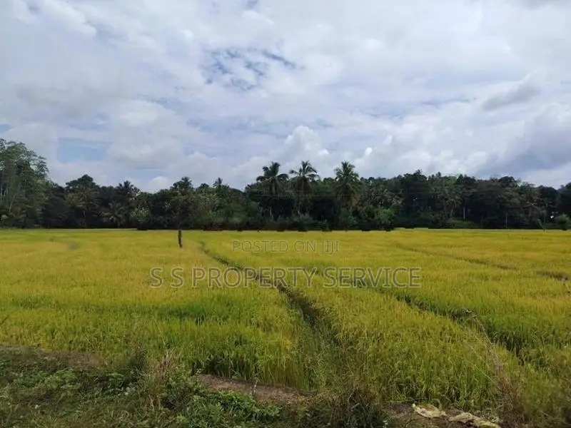 Land with an old house for sale in Tangalle - Beliatta (SSPL-381)