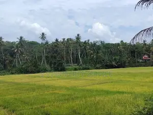 Land with an old house for sale in Tangalle - Beliatta (SSPL-381)